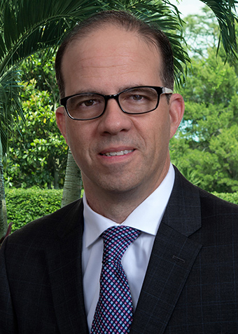 Michael Schneider - Attorney at Law