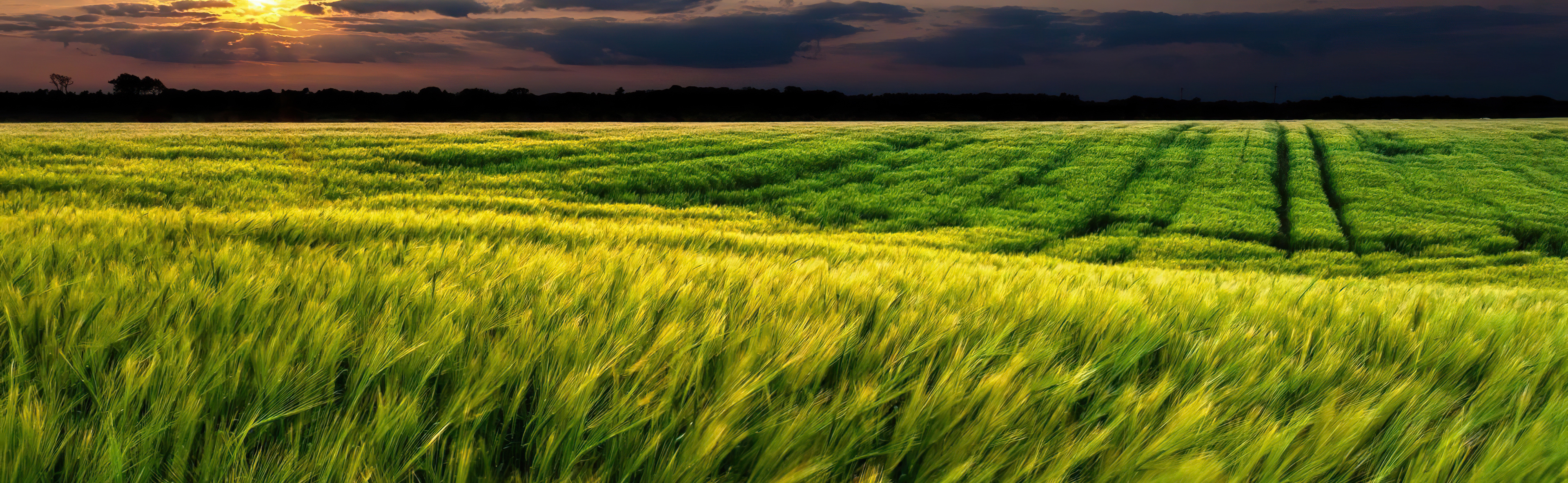 Mergers and Acquisitions